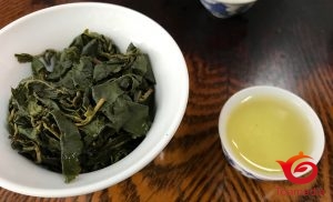 台湾でお茶を買うノウハウ2018（２）お店選び編（台北版・その１）